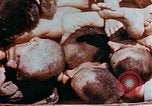 Image of Buchenwald Concentration Camp atrocities revealed Germany, 1945, second 54 stock footage video 65675055292