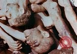 Image of Buchenwald Concentration Camp atrocities revealed Germany, 1945, second 56 stock footage video 65675055292