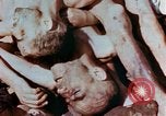 Image of Buchenwald Concentration Camp atrocities revealed Germany, 1945, second 60 stock footage video 65675055292