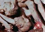 Image of Buchenwald Concentration Camp atrocities revealed Germany, 1945, second 62 stock footage video 65675055292