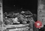 Image of Dead prisoners Bavaria Germany, 1945, second 28 stock footage video 65675055295