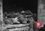 Image of Dead prisoners Bavaria Germany, 1945, second 29 stock footage video 65675055295