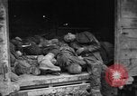 Image of Dead prisoners Bavaria Germany, 1945, second 30 stock footage video 65675055295