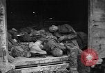 Image of Dead prisoners Bavaria Germany, 1945, second 31 stock footage video 65675055295