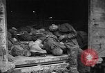 Image of Dead prisoners Bavaria Germany, 1945, second 33 stock footage video 65675055295