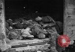 Image of Dead prisoners Bavaria Germany, 1945, second 40 stock footage video 65675055295