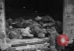 Image of Dead prisoners Bavaria Germany, 1945, second 41 stock footage video 65675055295