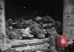 Image of Dead prisoners Bavaria Germany, 1945, second 42 stock footage video 65675055295