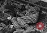 Image of Dead prisoners Bavaria Germany, 1945, second 59 stock footage video 65675055295