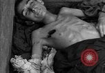 Image of Dead prisoners Bavaria Germany, 1945, second 61 stock footage video 65675055295