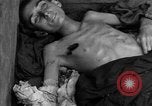 Image of Dead prisoners Bavaria Germany, 1945, second 62 stock footage video 65675055295