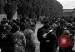Image of political prisoners Bavaria Germany, 1945, second 37 stock footage video 65675055296