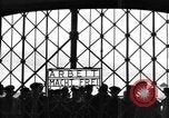 Image of political prisoners Bavaria Germany, 1945, second 8 stock footage video 65675055297