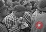 Immagine di American Jewish Services Baviera Germania, 1945, secondo 19 filmato di repertorio 65675055298