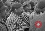 Immagine di American Jewish Services Baviera Germania, 1945, secondo 20 filmato di repertorio 65675055298