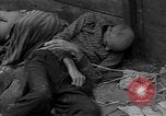 Immagine di Morti e malati prigionieri politici Baviera Germania, 1945, secondo 5 filmato di repertorio 65675055299