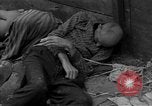 Immagine di Morti e malati prigionieri politici Baviera Germania, 1945, secondo 6 filmato di repertorio 65675055299
