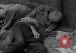 Immagine di Morti e malati prigionieri politici Baviera Germania, 1945, secondo 10 filmato di repertorio 65675055299