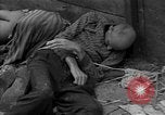 Immagine di Morti e malati prigionieri politici Baviera Germania, 1945, secondo 11 filmato di repertorio 65675055299