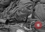Immagine di Morti e malati prigionieri politici Baviera Germania, 1945, secondo 13 filmato di repertorio 65675055299
