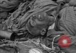 Immagine di Morti e malati prigionieri politici Baviera Germania, 1945, secondo 14 filmato di repertorio 65675055299