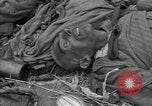 Immagine di Morti e malati prigionieri politici Baviera Germania, 1945, secondo 17 filmato di repertorio 65675055299