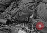 Immagine di Morti e malati prigionieri politici Baviera Germania, 1945, secondo 18 filmato di repertorio 65675055299