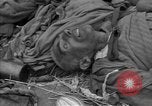 Immagine di Morti e malati prigionieri politici Baviera Germania, 1945, secondo 19 filmato di repertorio 65675055299