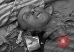 Immagine di Morti e malati prigionieri politici Baviera Germania, 1945, secondo 20 filmato di repertorio 65675055299