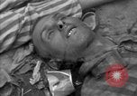 Immagine di Morti e malati prigionieri politici Baviera Germania, 1945, secondo 22 filmato di repertorio 65675055299