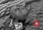 Immagine di Morti e malati prigionieri politici Baviera Germania, 1945, secondo 23 filmato di repertorio 65675055299