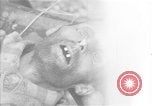 Immagine di Morti e malati prigionieri politici Baviera Germania, 1945, secondo 42 filmato di repertorio 65675055299