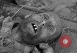Immagine di Morti e malati prigionieri politici Baviera Germania, 1945, secondo 43 filmato di repertorio 65675055299