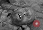 Immagine di Morti e malati prigionieri politici Baviera Germania, 1945, secondo 46 filmato di repertorio 65675055299