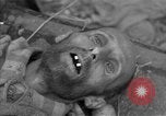 Immagine di Morti e malati prigionieri politici Baviera Germania, 1945, secondo 49 filmato di repertorio 65675055299