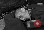 Immagine di Morti e malati prigionieri politici Baviera Germania, 1945, secondo 51 filmato di repertorio 65675055299