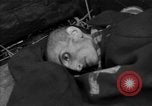 Immagine di Morti e malati prigionieri politici Baviera Germania, 1945, secondo 54 filmato di repertorio 65675055299