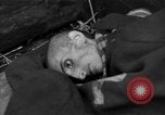 Immagine di Morti e malati prigionieri politici Baviera Germania, 1945, secondo 58 filmato di repertorio 65675055299