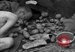 Immagine di Morti e malati prigionieri politici Baviera Germania, 1945, secondo 59 filmato di repertorio 65675055299