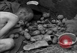 Immagine di Morti e malati prigionieri politici Baviera Germania, 1945, secondo 60 filmato di repertorio 65675055299