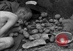 Immagine di Morti e malati prigionieri politici Baviera Germania, 1945, secondo 61 filmato di repertorio 65675055299