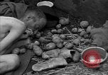 Immagine di Morti e malati prigionieri politici Baviera Germania, 1945, secondo 62 filmato di repertorio 65675055299