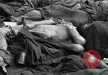 Image of prisoners Bavaria Germany, 1945, second 13 stock footage video 65675055301