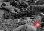 Image of prisoners Bavaria Germany, 1945, second 54 stock footage video 65675055301