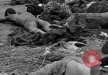 Image of prisoners Bavaria Germany, 1945, second 55 stock footage video 65675055301