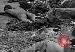 Image of prisoners Bavaria Germany, 1945, second 56 stock footage video 65675055301