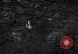 Immagine di Stati Uniti F8E Crusader Vietnam del Sud, 1966, secondo 40 filmato di repertorio 65675055337