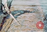 Image of man spreads grease on ways at Newport News Shipyard Newport News Virginia USA, 1943, second 13 stock footage video 65675055340
