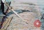 Image of man spreads grease on ways at Newport News Shipyard Newport News Virginia USA, 1943, second 16 stock footage video 65675055340