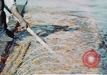 Image of man spreads grease on ways at Newport News Shipyard Newport News Virginia USA, 1943, second 17 stock footage video 65675055340